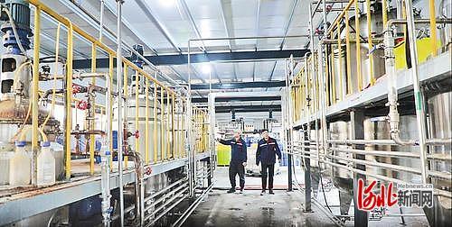 畜禽粪污“变身记” 从生态包袱到绿色财富的家禽饲养机械革新