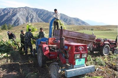 七台河粉碎机与密山自动进料粉碎机价格解析 家禽饲养机械选购指南