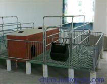 康牧养猪技术 复合漏缝板在规模化养殖中的卓越应用