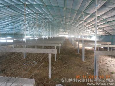 河南土鸡养殖大棚建造公司